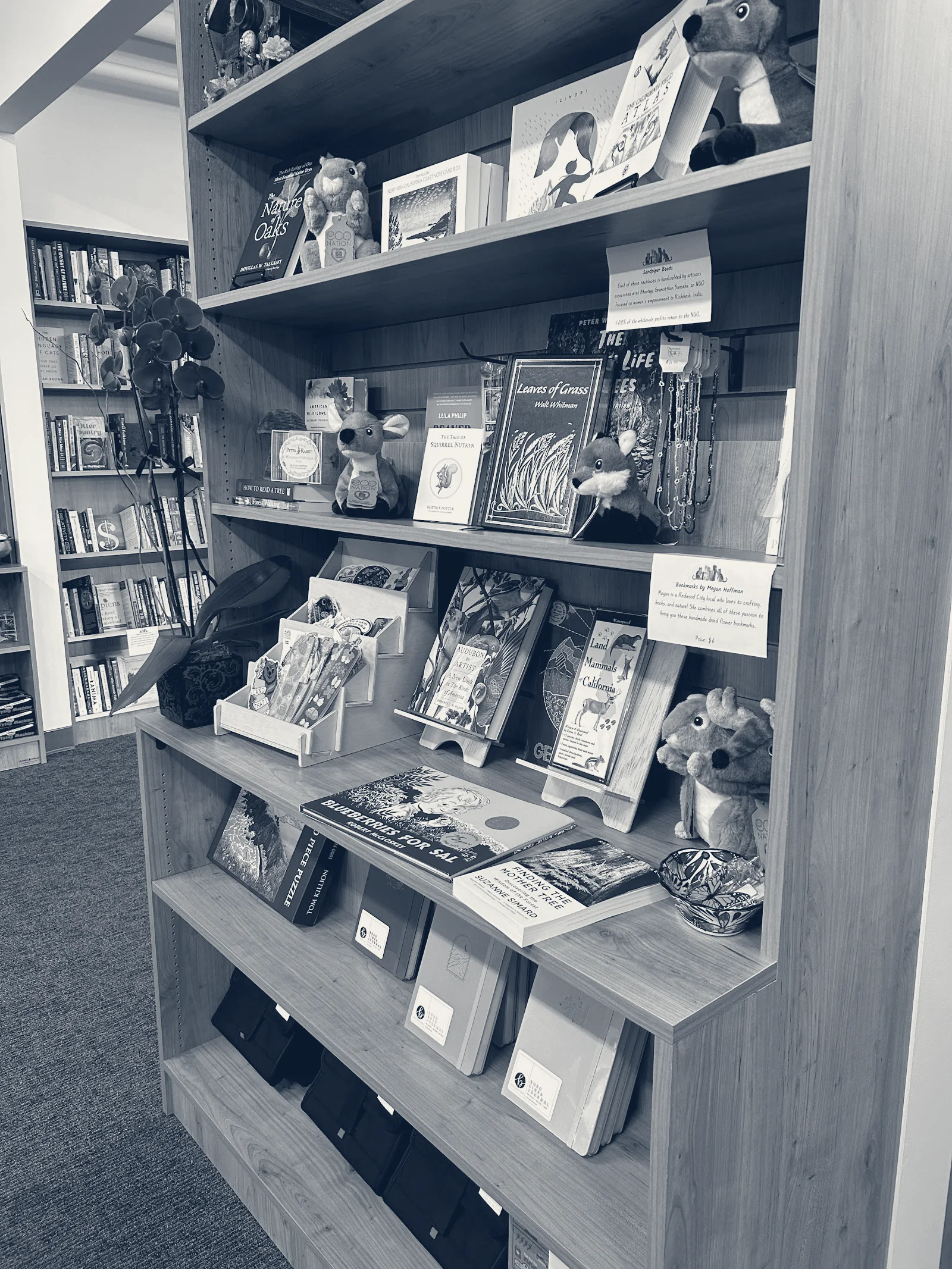 Fireside Books & More, Redwood City, California