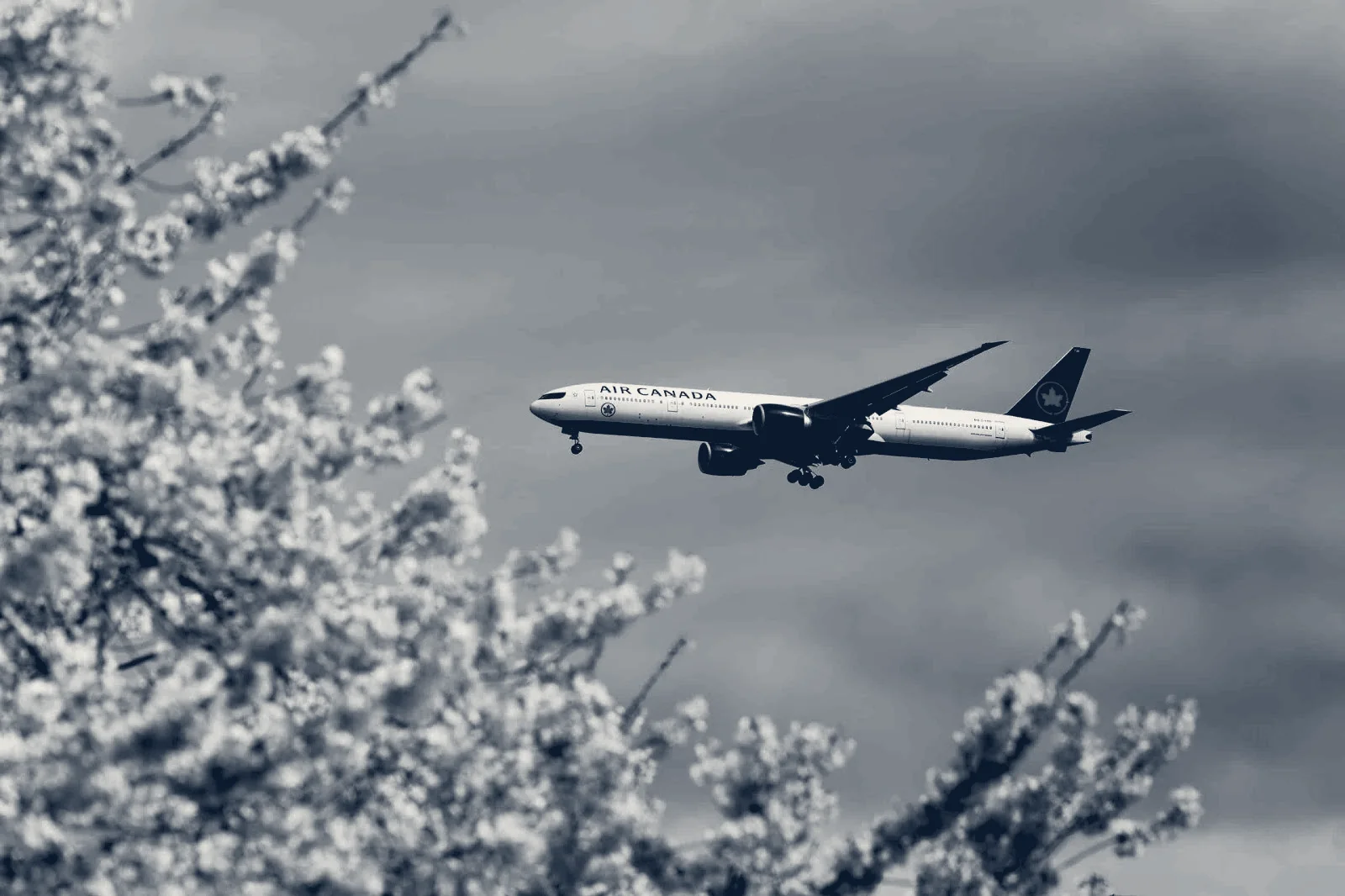 AirCanadа Airfare Support, San Jose, California