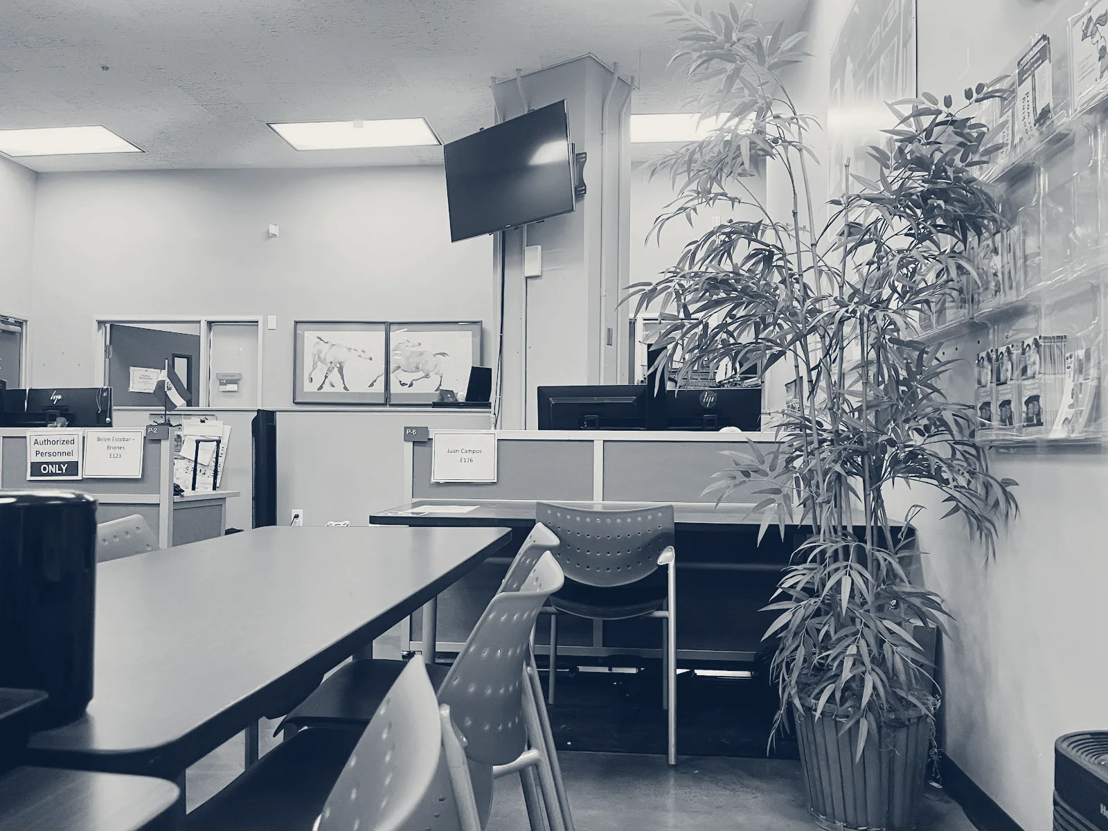 San Francisco Human Services Department, San Francisco, California