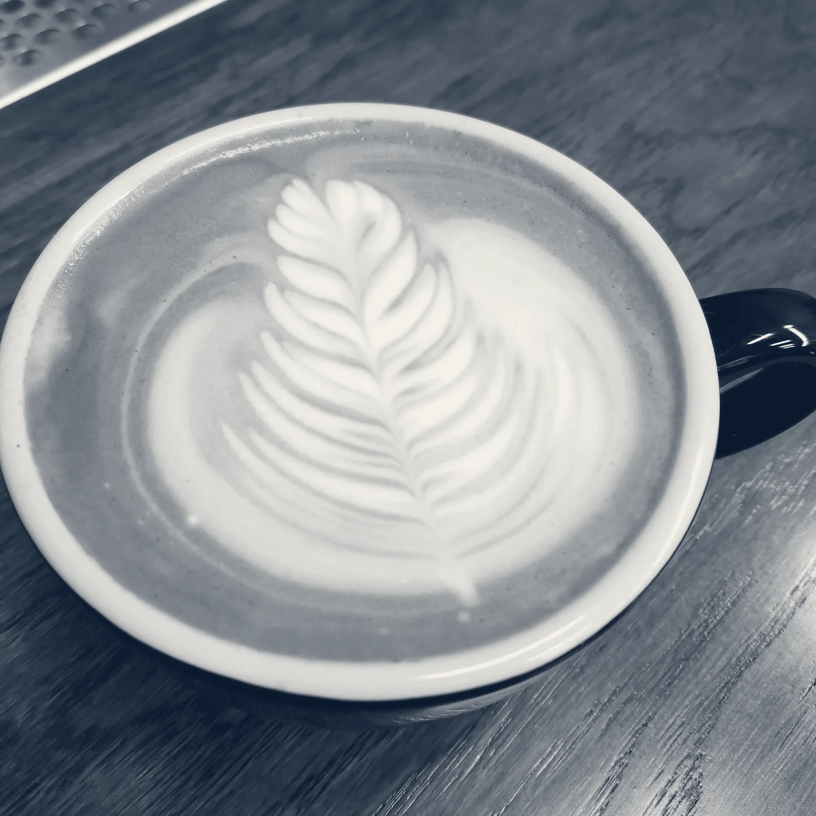 Cosmic Coffee Company, Santa Clara, California