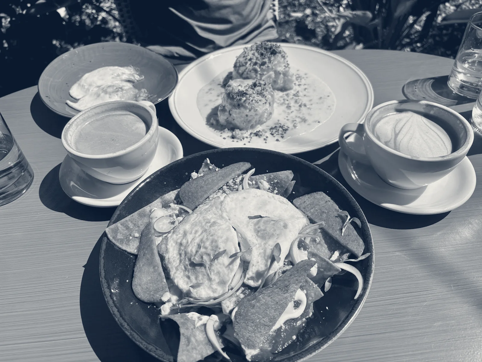 Gardenia, Los Gatos, California