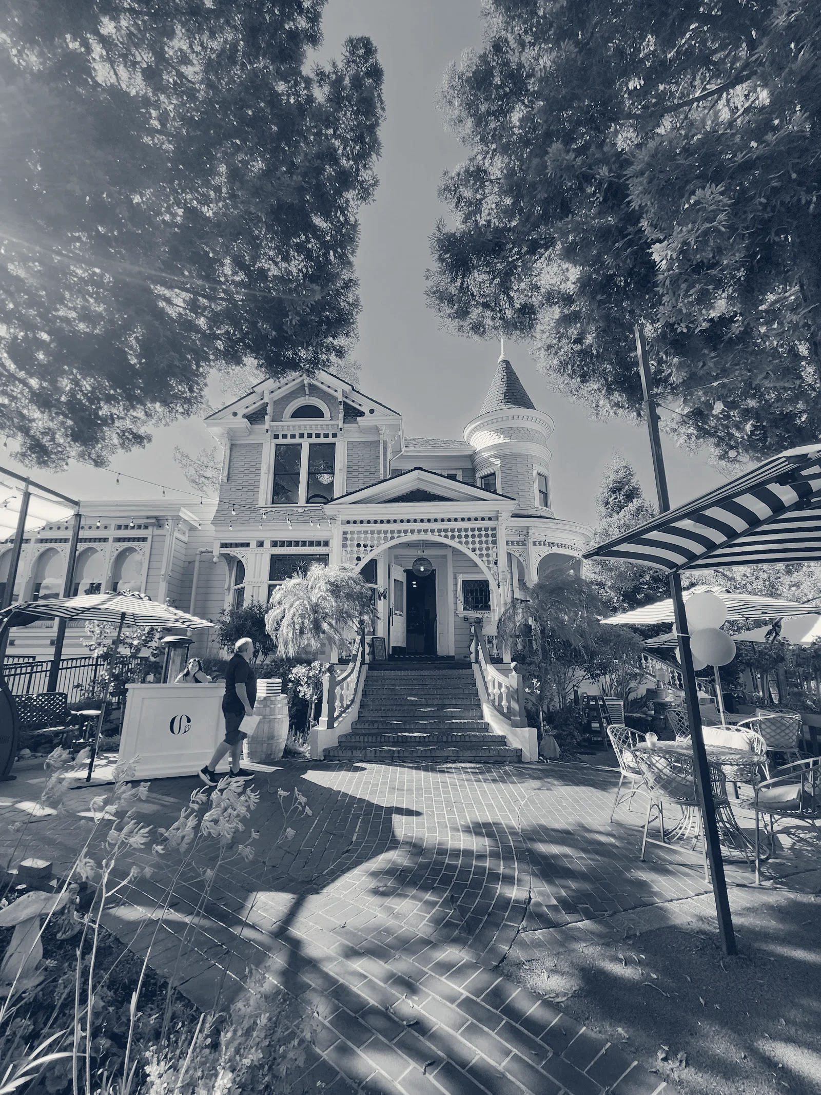 Gardenia, Los Gatos, California