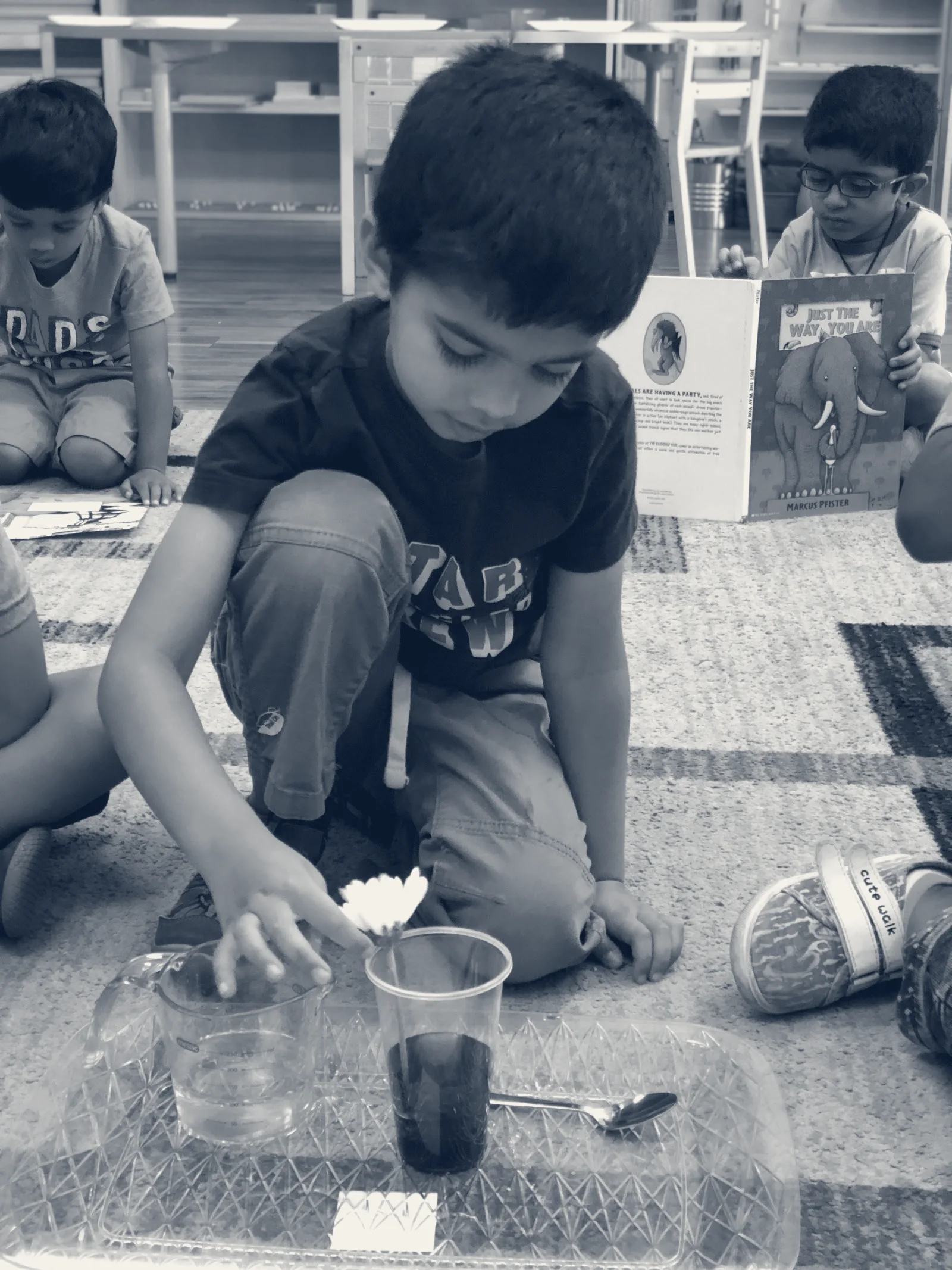 Folsom Lake Montessori Academy, Folsom, California