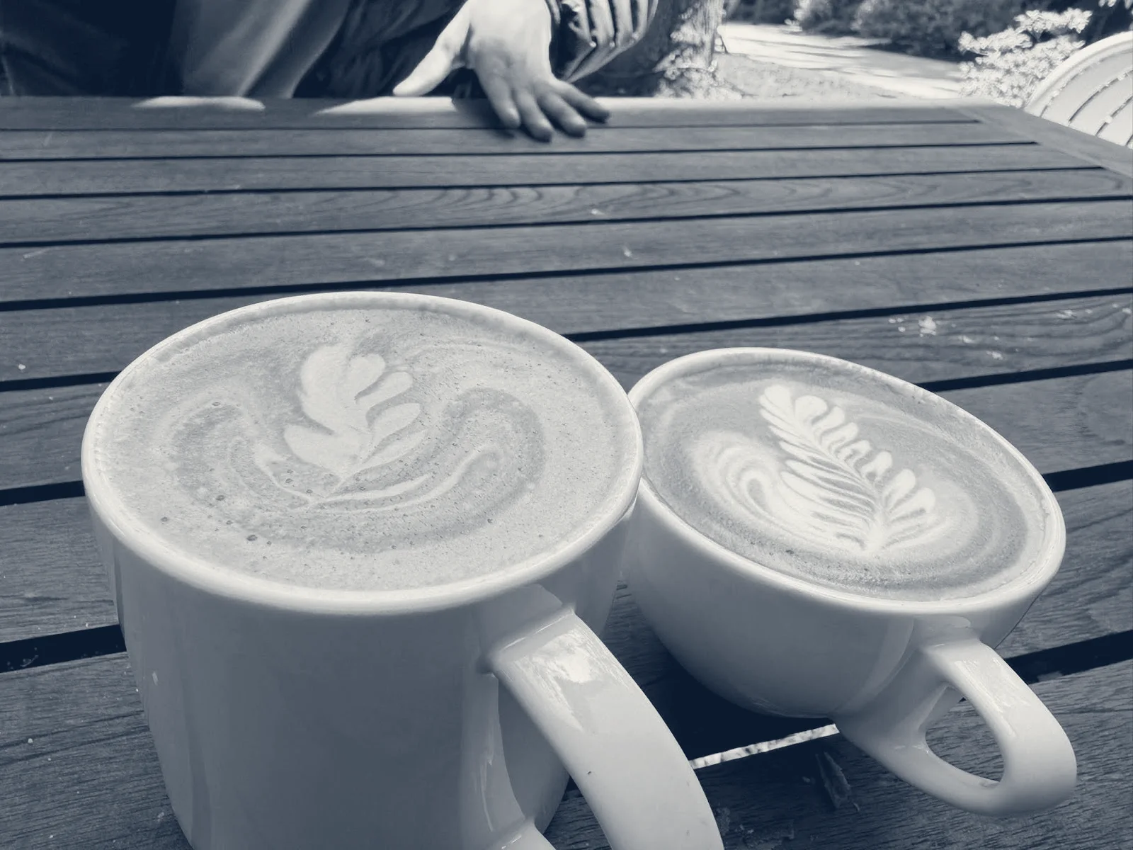 The Village Hub Coffee Bar and Garden, Woodside, California