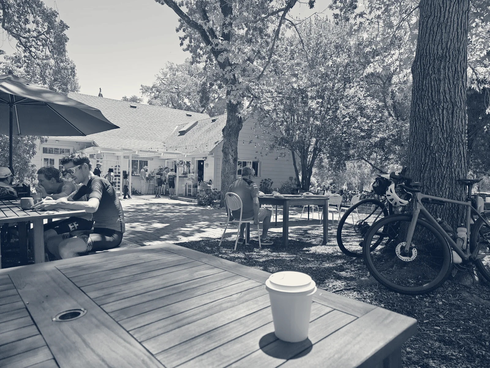 The Village Hub Coffee Bar and Garden, Woodside, California