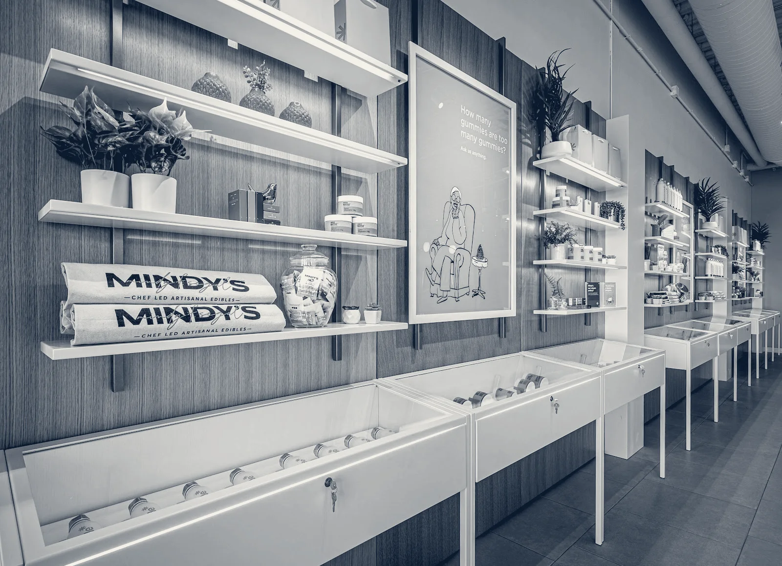 Sunnyside Cannabis Dispensary - Elmwood Park, Elmwood Park, Illinois