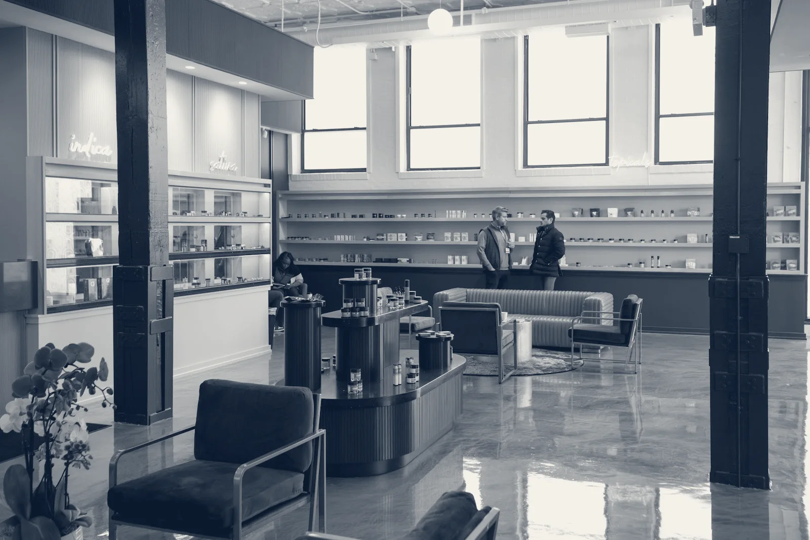 Ivy Hall Dispensary - Bucktown, Chicago, Illinois