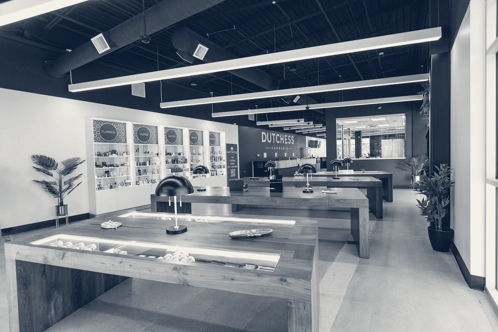 Dutchess Cannabis, Morton Grove, Illinois